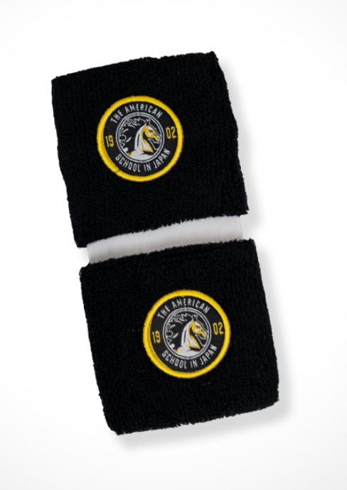 ASIJ wristbands (pair)